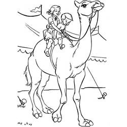 Coloring page: Dromedary (Animals) #6005 - Free Printable Coloring Pages