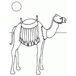 Coloring page: Dromedary (Animals) #6021 - Free Printable Coloring Pages