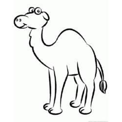 Coloring page: Dromedary (Animals) #6052 - Free Printable Coloring Pages