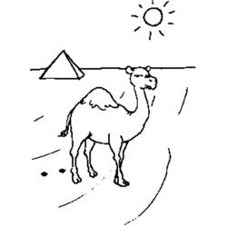 Coloring page: Dromedary (Animals) #6059 - Free Printable Coloring Pages