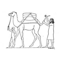 Coloring page: Dromedary (Animals) #6072 - Printable coloring pages