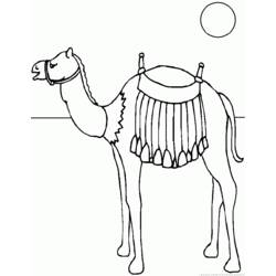 Coloring page: Dromedary (Animals) #6073 - Free Printable Coloring Pages