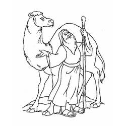 Coloring page: Dromedary (Animals) #6074 - Free Printable Coloring Pages