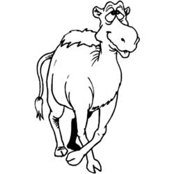 Coloring page: Dromedary (Animals) #6077 - Printable coloring pages