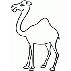 Coloring page: Dromedary (Animals) #6078 - Free Printable Coloring Pages