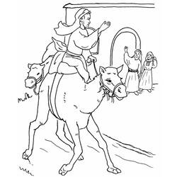 Coloring page: Dromedary (Animals) #6081 - Free Printable Coloring Pages