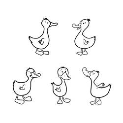 Coloring page: Duck (Animals) #1446 - Printable Coloring Pages