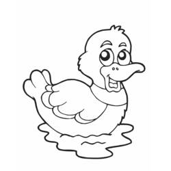 Coloring page: Duck (Animals) #1454 - Printable coloring pages