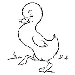 Coloring page: Duck (Animals) #1479 - Free Printable Coloring Pages