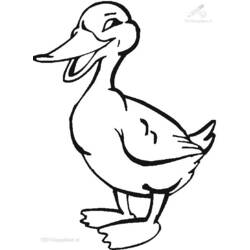 Coloring page: Duck (Animals) #1481 - Free Printable Coloring Pages