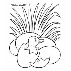 Coloring page: Duck (Animals) #1495 - Free Printable Coloring Pages