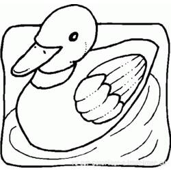 Coloring page: Duck (Animals) #1508 - Free Printable Coloring Pages