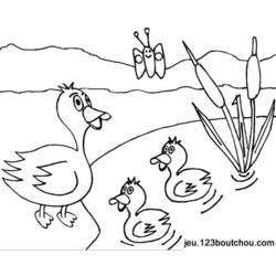 Coloring page: Duck (Animals) #1517 - Free Printable Coloring Pages