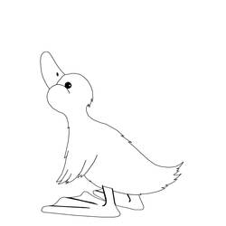 Coloring page: Duck (Animals) #1529 - Free Printable Coloring Pages