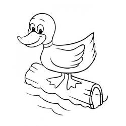 Duck (Animals) coloring page #185478 to print and color