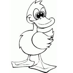 Duck (Animals) coloring page #185488 to print and color