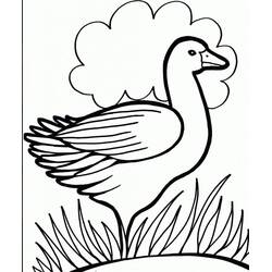 Duck (Animals) coloring page #185494 to print and color