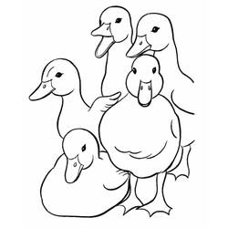 Duck (Animals) coloring page #185496 to print and color