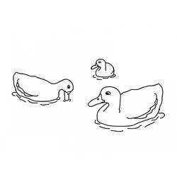 Duck (Animals) coloring page #185497 to print and color
