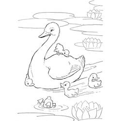 Duck (Animals) coloring page #185503 to print and color