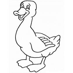 Duck (Animals) coloring page #185505 to print and color