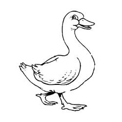 Duck (Animals) coloring page #185506 to print and color