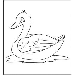 Duck (Animals) coloring page #185507 to print and color