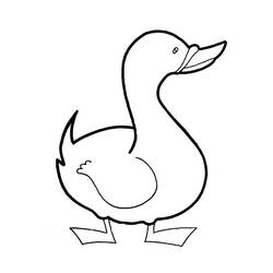 Duck (Animals) coloring page #185508 to print and color