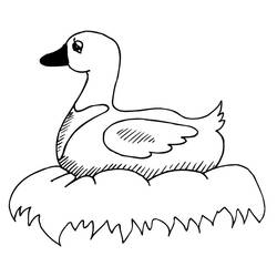 Duck (Animals) coloring page #185509 to print and color