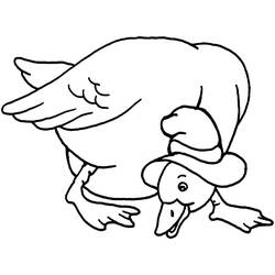 Duck (Animals) coloring page #185510 to print and color