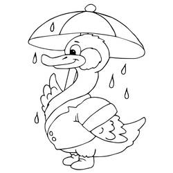 Duck (Animals) coloring page #185514 to print and color