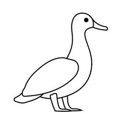 Duck (Animals) coloring page #185516 to print and color