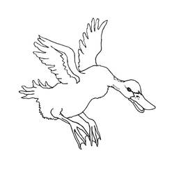 Duck (Animals) coloring page #185517 to print and color