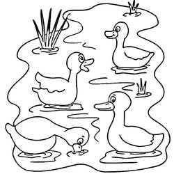 Duck (Animals) coloring page #185520 to print and color