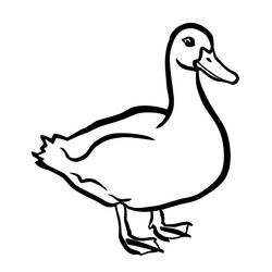Duck (Animals) coloring page #185523 to print and color