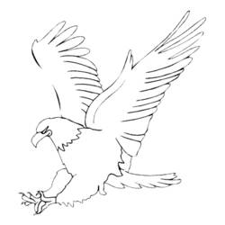 Coloring page: Eagle (Animals) #276 - Printable coloring pages