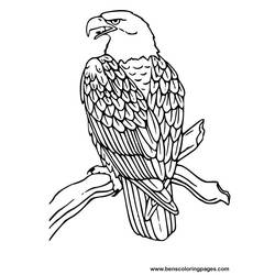 Coloring page: Eagle (Animals) #279 - Printable coloring pages