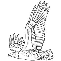 Coloring page: Eagle (Animals) #280 - Printable coloring pages