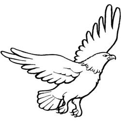 Coloring pages: Eagle - Printable Coloring Pages