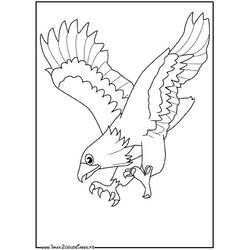 Coloring page: Eagle (Animals) #290 - Printable coloring pages