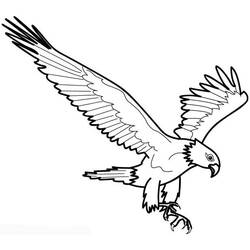 Coloring page: Eagle (Animals) #294 - Printable coloring pages