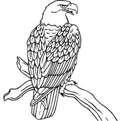 Coloring page: Eagle (Animals) #308 - Printable coloring pages