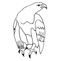 Coloring page: Eagle (Animals) #316 - Free Printable Coloring Pages