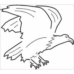 Coloring page: Eagle (Animals) #317 - Free Printable Coloring Pages