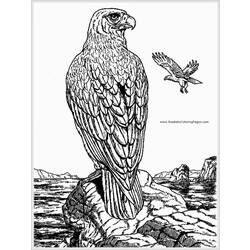 Coloring page: Eagle (Animals) #324 - Printable coloring pages