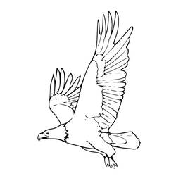 Coloring page: Eagle (Animals) #329 - Printable coloring pages