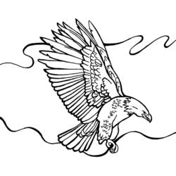 Coloring page: Eagle (Animals) #333 - Free Printable Coloring Pages