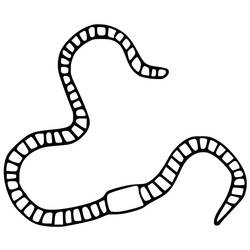 Earthworm (Animals) coloring page #214593 to print and color