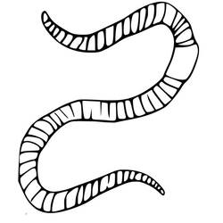 Earthworm (Animals) coloring page #214595 to print and color