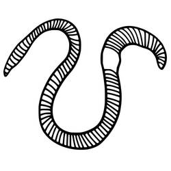 Earthworm (Animals) coloring page #214598 to print and color